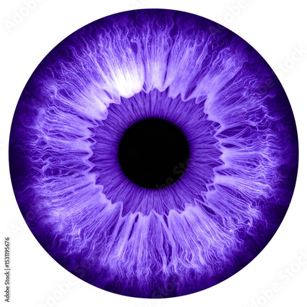Fototapeta Purple human iris close-up isolated on transparent or white background 

