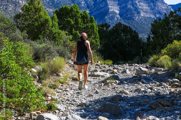 Obraz Hiker Exploring Rugged Trail in National Park During Sunny Day