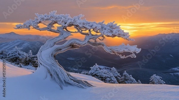 Fototapeta Winter sunrise over a snow-covered mountain landscape with a gnarled, frosted tree