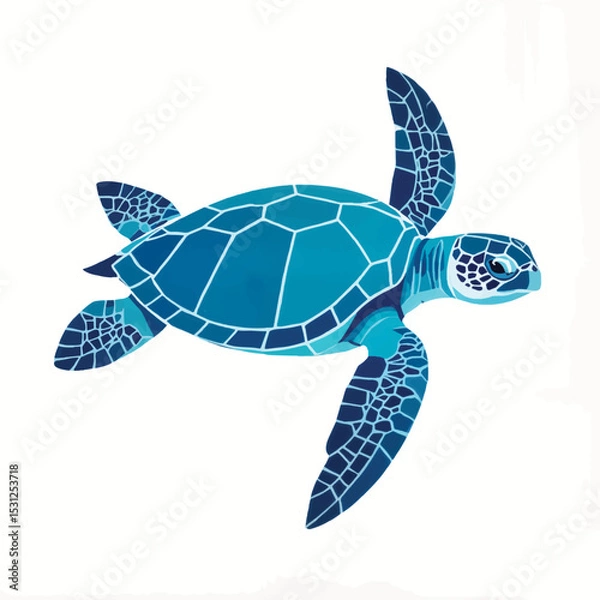 Obraz Colorful turtle swimming in ocean waters