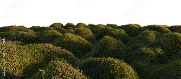 Fototapeta Hills with grass on a transparent background. 3D rendering.	
