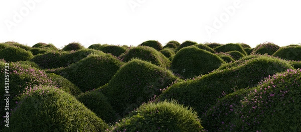 Fototapeta Hills with grass on a transparent background. 3D rendering.	
