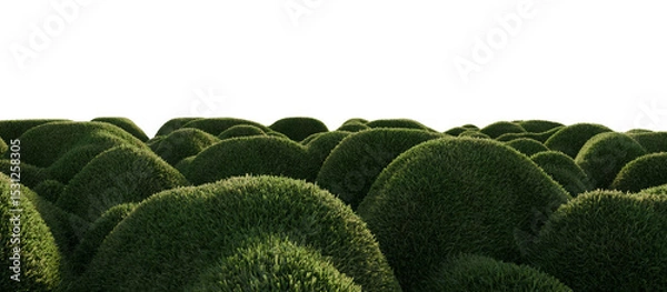 Fototapeta Hills with grass on a transparent background. 3D rendering.	
