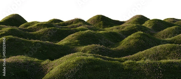 Fototapeta Hills with grass on a transparent background. 3D rendering.	
