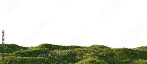 Fototapeta Hills with grass on a transparent background. 3D rendering.	
