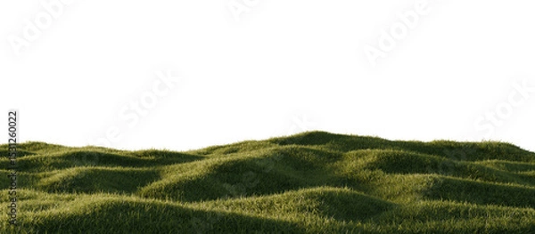 Fototapeta Hills with grass on a transparent background. 3D rendering.	
