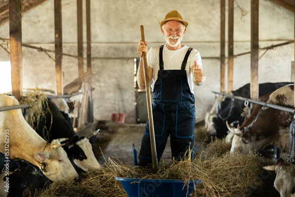 Fototapeta With a thumbs up, the farmer engages with his work in the barn, celebrating the joy of agriculture and livestock management.