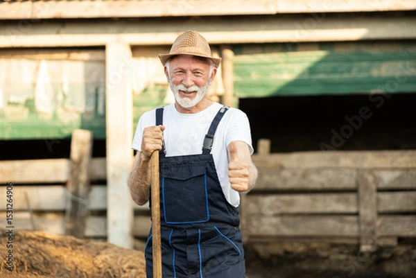 Fototapeta A joyful older farmer holding a pitchfork, standing outdoors in front of a rustic barn with a sunny sky in the background. thumbs up