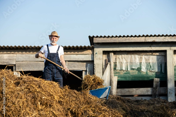 Fototapeta A smiling elderly farmer stands proudly with a pitchfork, showcasing rural pride and the beauty of farm life in a sunny setting.
