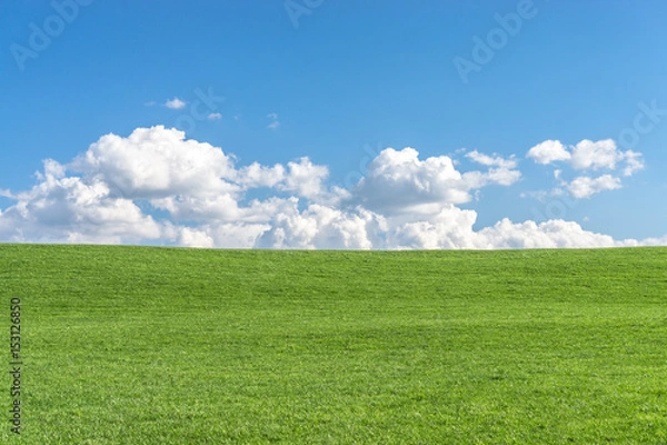 Obraz Green grass field with clear blue sky and white clouds