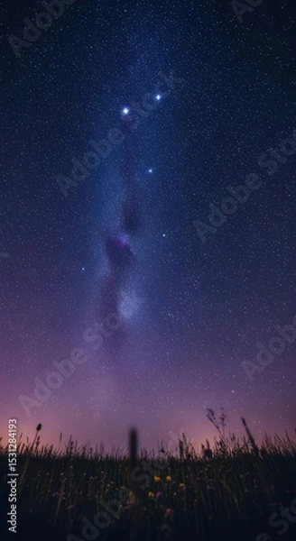 Obraz Night sky illuminated stars peaceful field