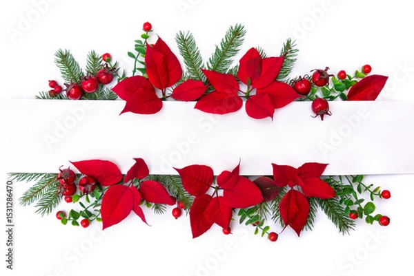Obraz Christmas decoration. Flowers of red poinsettia, branch christmas tree, red berries and white paper card with space for text on a white background. Top view, flat lay