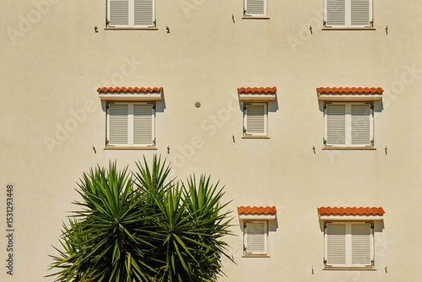 Obraz Beige wall with closed white shutters and tropical plant in front. Residential building facade with Mediterranean architecture, symmetry and minimal summer style