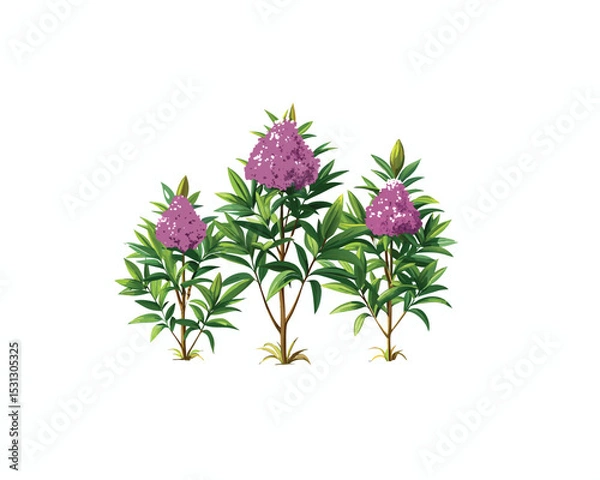 Obraz "Pink Oleander Flower Bushes – Hand-Drawn Botanical Illustration Isolated on" Blooming Rhododendron Trees in Spring Garden Illustration"
 White Background"