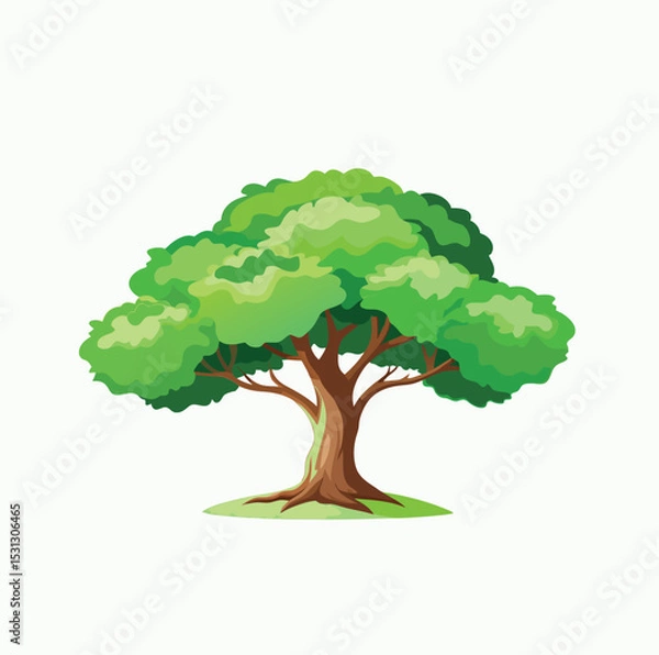 Obraz Isolated Broadleaf Tree Vector Art Lush Green Tree Illustration on White Background
