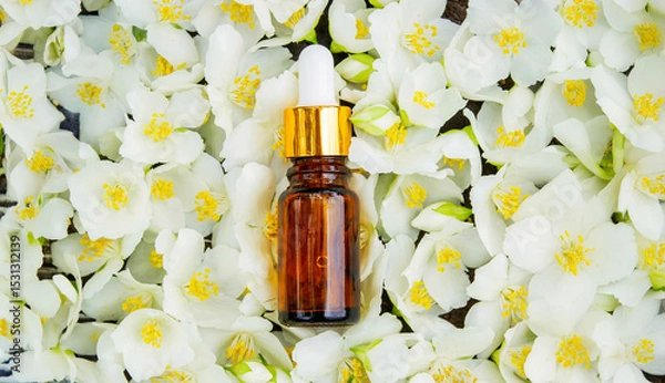 Fototapeta Jasmine essential oil in a glass bottle and jasmine flowers. Oils.