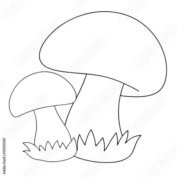 Obraz Mushrooms coloring page simple and minimal line art illustration on white background