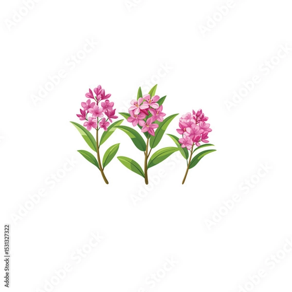 Obraz "Pink Oleander Flower Bushes – Hand-Drawn Botanical Illustration Isolated on" Blooming Rhododendron Trees in Spring Garden Illustration"
 White Background"