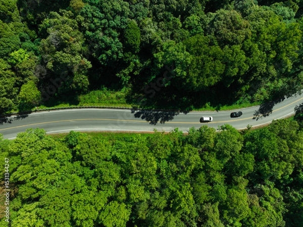 Fototapeta Car in rural road in deep rain forest with green tree forest view from above, Aerial view car in the forest on asphalt road background, Electric vehicle EV car drive asphalt road green tree forest.