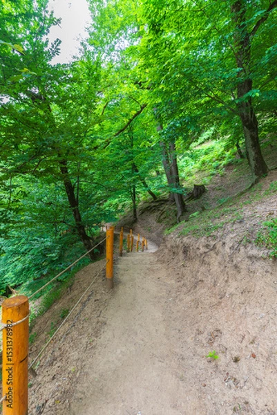 Fototapeta Mountain path to the Shirhal waterfall