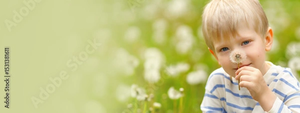Obraz  Blonde boy holding a dandelion and smiling in a blooming meadow full of white seed heads on a sunny day.