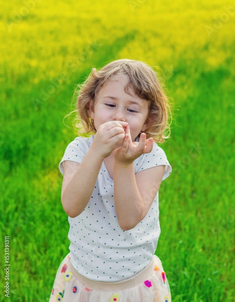 Fototapeta Child playing with ladybug. Selective focus.