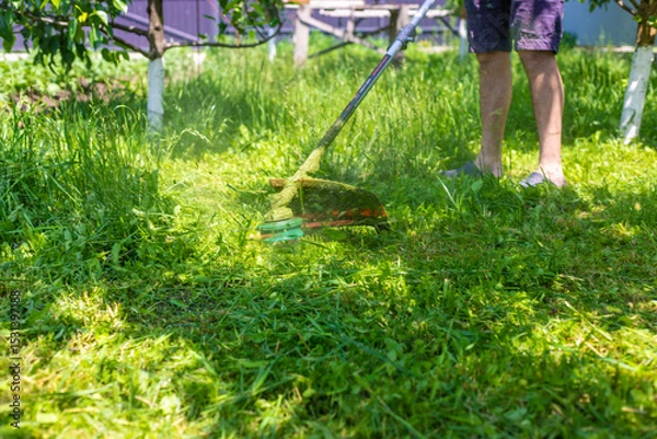 Fototapeta mow the grass in the garden. Selective focus.
