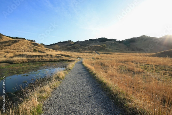 Fototapeta 兵庫県神河町　砥峰高原の風景