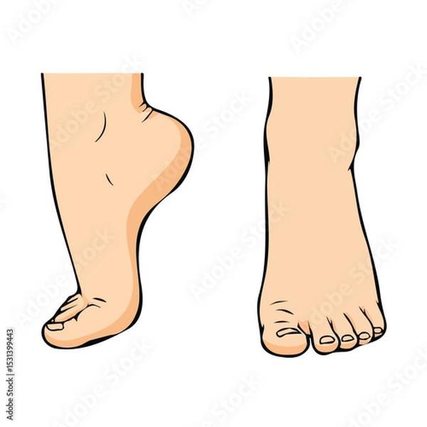 Fototapeta Foot vector for motion graphics