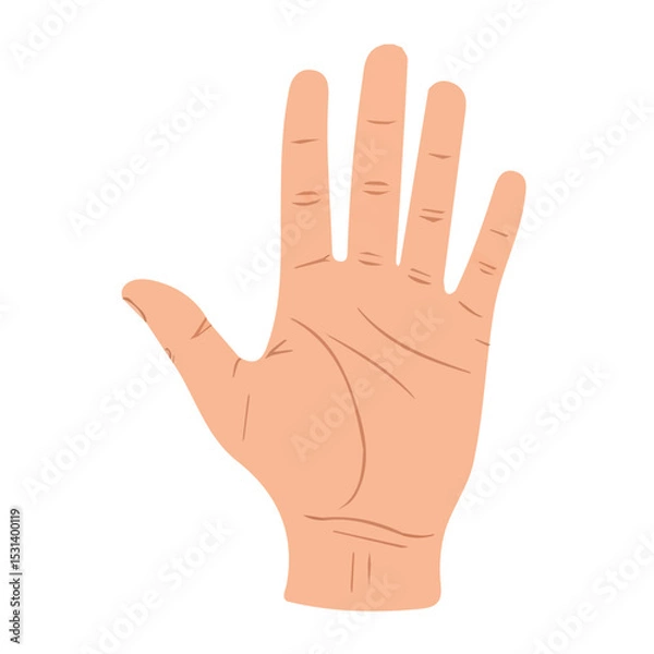 Fototapeta Hand vector for animation