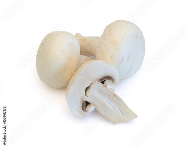 Obraz Edible button mushroom isolated on white background