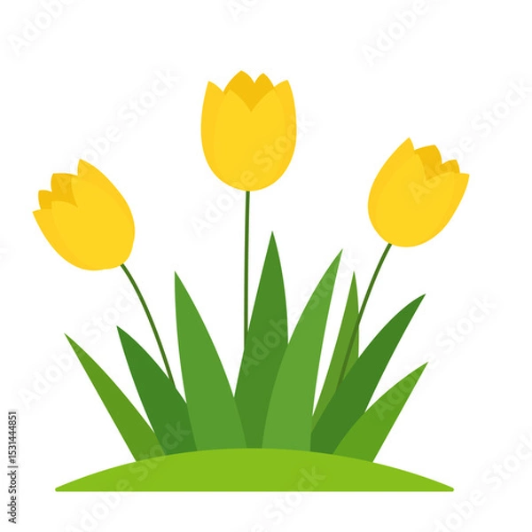 Fototapeta Cartoon Flat Three Yellow Flowers In Green Grass, Isolated On White Background. Vector Illustration