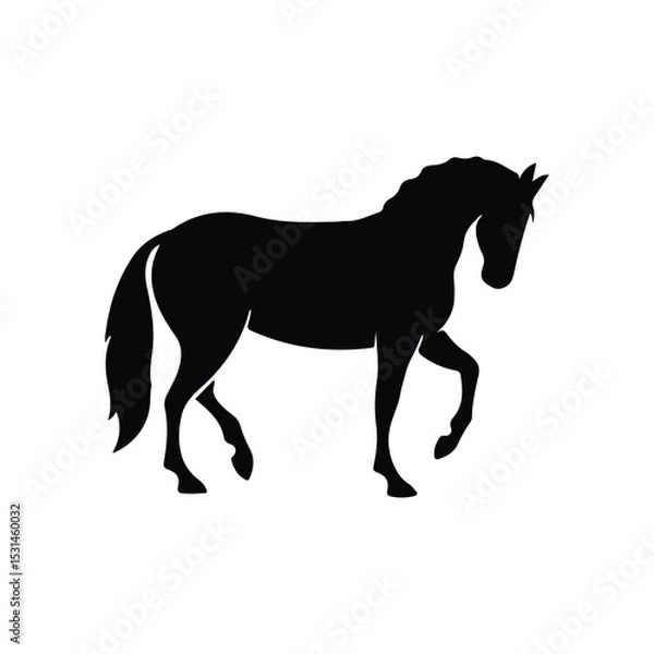 Fototapeta horse silhouette isolated on white, 