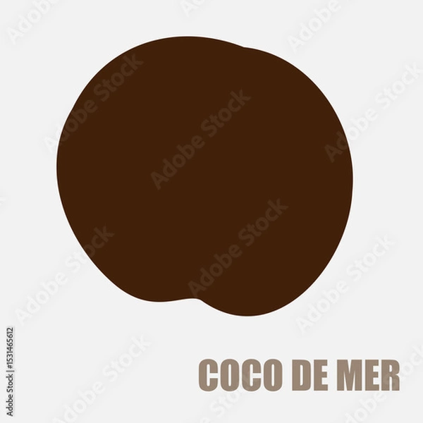 Obraz Rare Coco de Mer nut icon, sea coconut, coco de mer, or double coconut. Lodoicea fruit