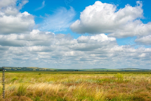 Fototapeta In summer, a field of green wheat and a sky with clouds