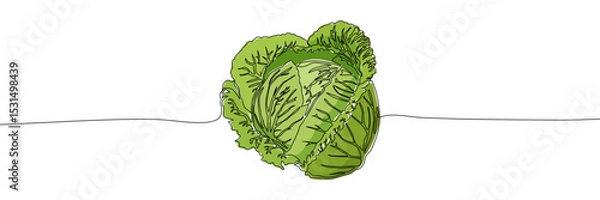 Fototapeta Green cabbage head drawn with one continuous black line on white background. Minimalist vector illustration with green color fill. Food and vegetable concept for design and print