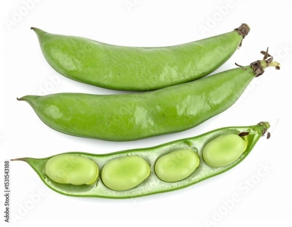 Obraz Broad Beans on Isolated White Background – Large Flat Pods with Pale Green Seeds and Rustic Presentation