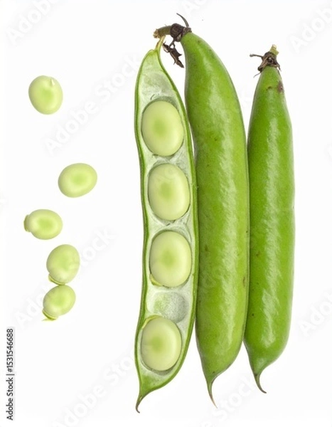 Obraz Broad Beans on Isolated White Background – Large Flat Pods with Pale Green Seeds and Rustic Presentation