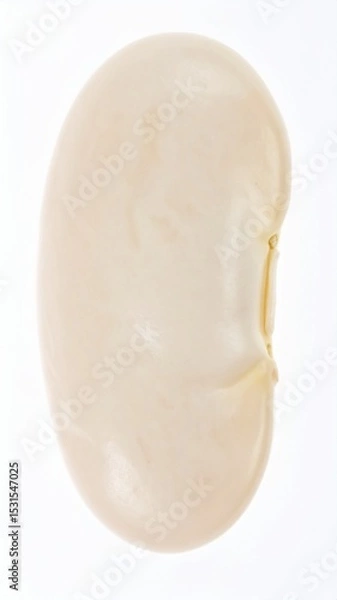 Obraz Butter Beans on Isolated White Background – Cream-Colored Lima Bean Relative with Soft Flesh and Studio Lighting