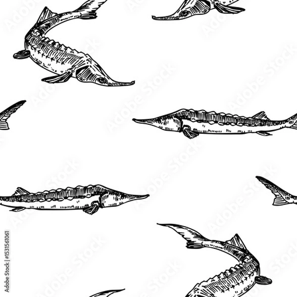 Fototapeta Sturgeon fish, seamless pattern, beluga, realistic hand drawn sketch, vector monochrome illustration, black outline