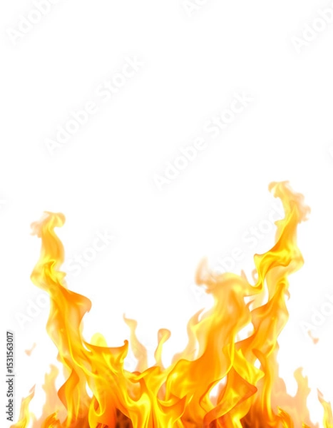 Fototapeta The Essential Guide To Use Fire For Your Creative Projects