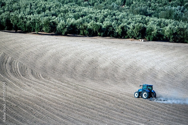 Fototapeta Tractor Plowing a Field with Olive Grove in the Background
