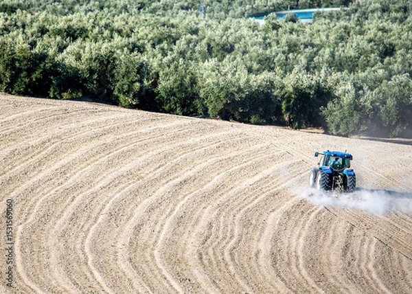 Fototapeta A tractor plows a wavy field while an olive grove stretches into the background, showcasing rural labor and Mediterranean agriculture.