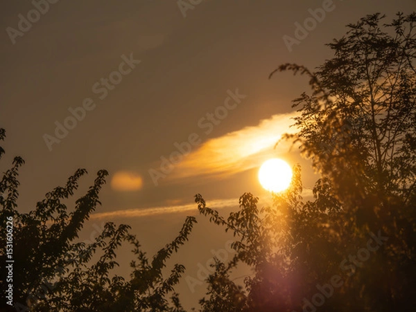 Obraz Sunset behind trees with dramatic golden light and warm tones in the sky. Peaceful and atmospheric moment captured in nature