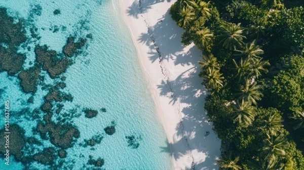 Fototapeta Aerial view of a pristine beach with turquoise water and lush palm trees