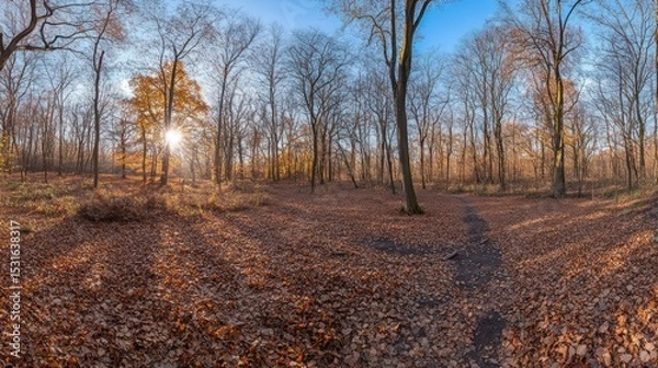 Fototapeta Panoramic view of a sun-drenched autumn forest floor, covered in fallen leaves