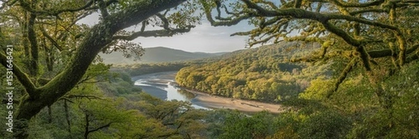 Fototapeta Enchanting Panoramic View of Serene River Flowing Through Lush Forest and Mountains in Soft Golden Light
