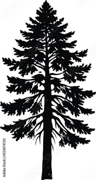 Obraz Rustic Pine Tree Silhouette, Hand-Drawn Evergreen Forest Tree Vector Illustration