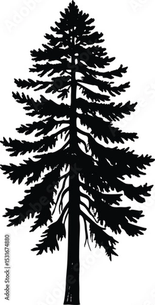 Obraz Silhouette of a Pine Tree, Detailed Evergreen Vector Illustration for Nature and Forest Themes