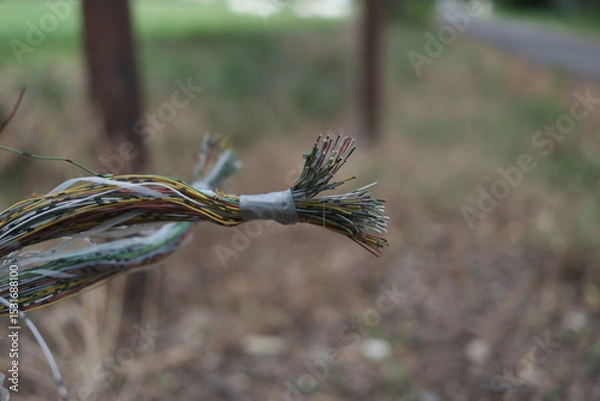 Fototapeta A wire with a tape on it is hanging from a tree